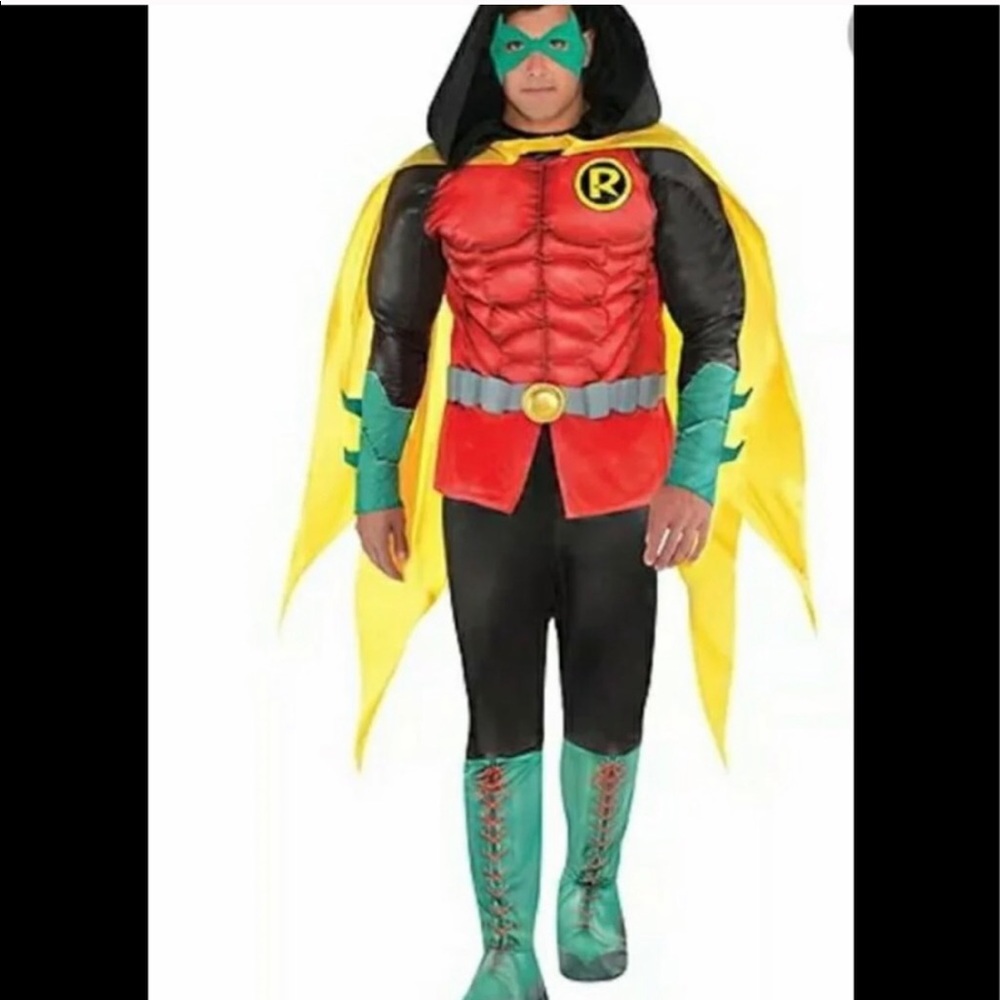 Robin Costume